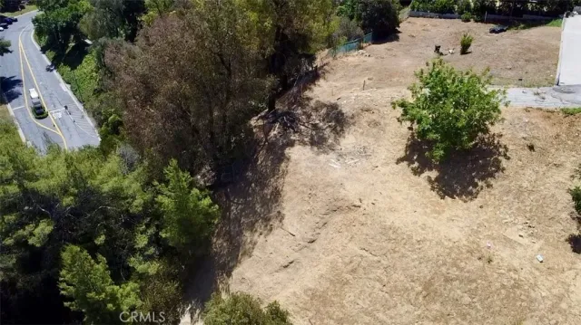 a view of a yard with plants and trees