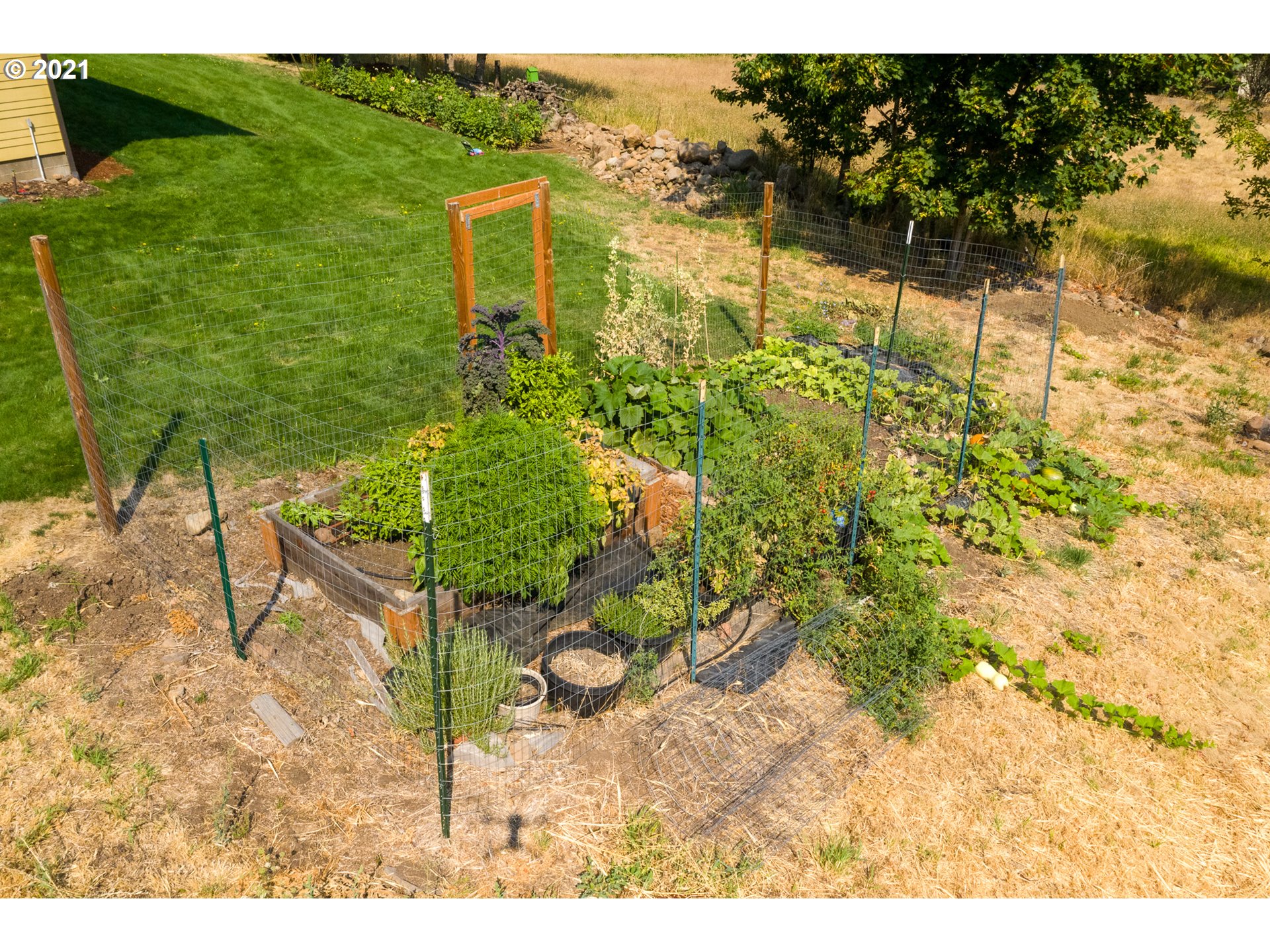 503 Frankton Road Hood River, OR 97031 - Photo 27 of 31 a view of a yard with plants