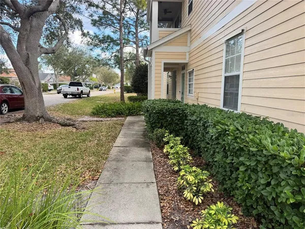 a view of a yard with plants