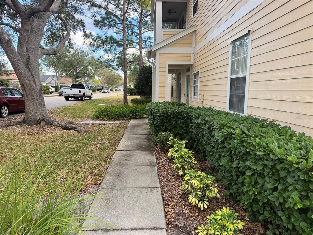 6315 Rosefinch Court, Unit 101 Lakewood Ranch, FL 34202 - Photo 5 of 30 a view of a yard with plants