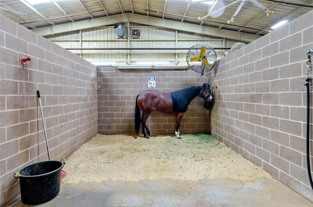 a front view of house with yard and entertaining space