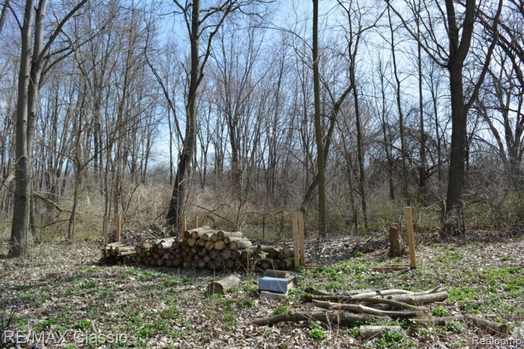 48772 West 9 Mile Road Novi, MI 48374 - Photo 8 of 14