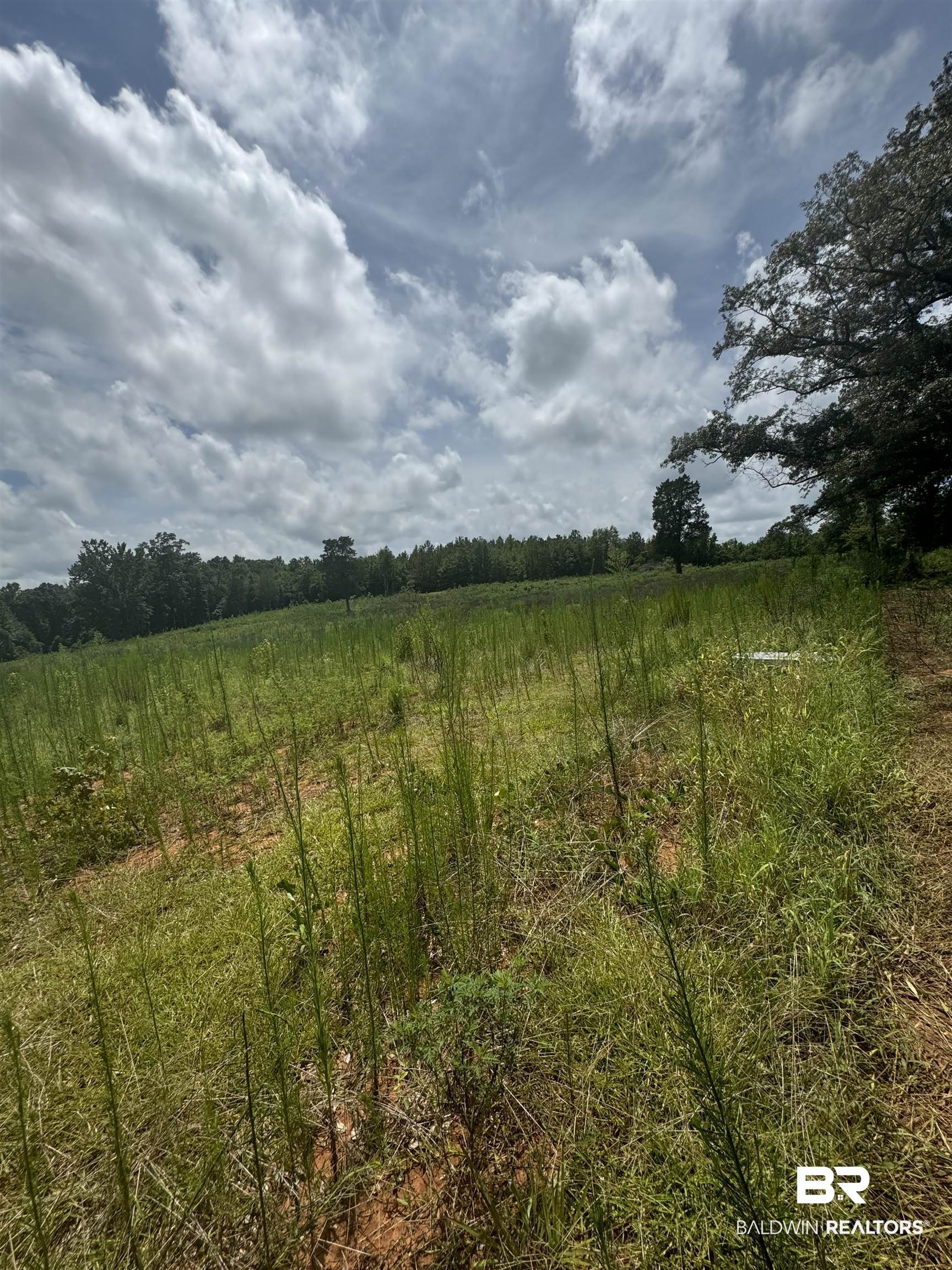 0 Deer Creek Road Monroeville, AL 36460 - Photo 15 of 19