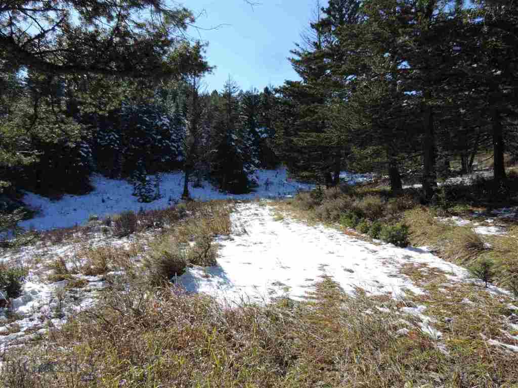 11 Shady Hillside Road Bozeman, MT 59715 - Photo 1 of 1 Gallery Image 1