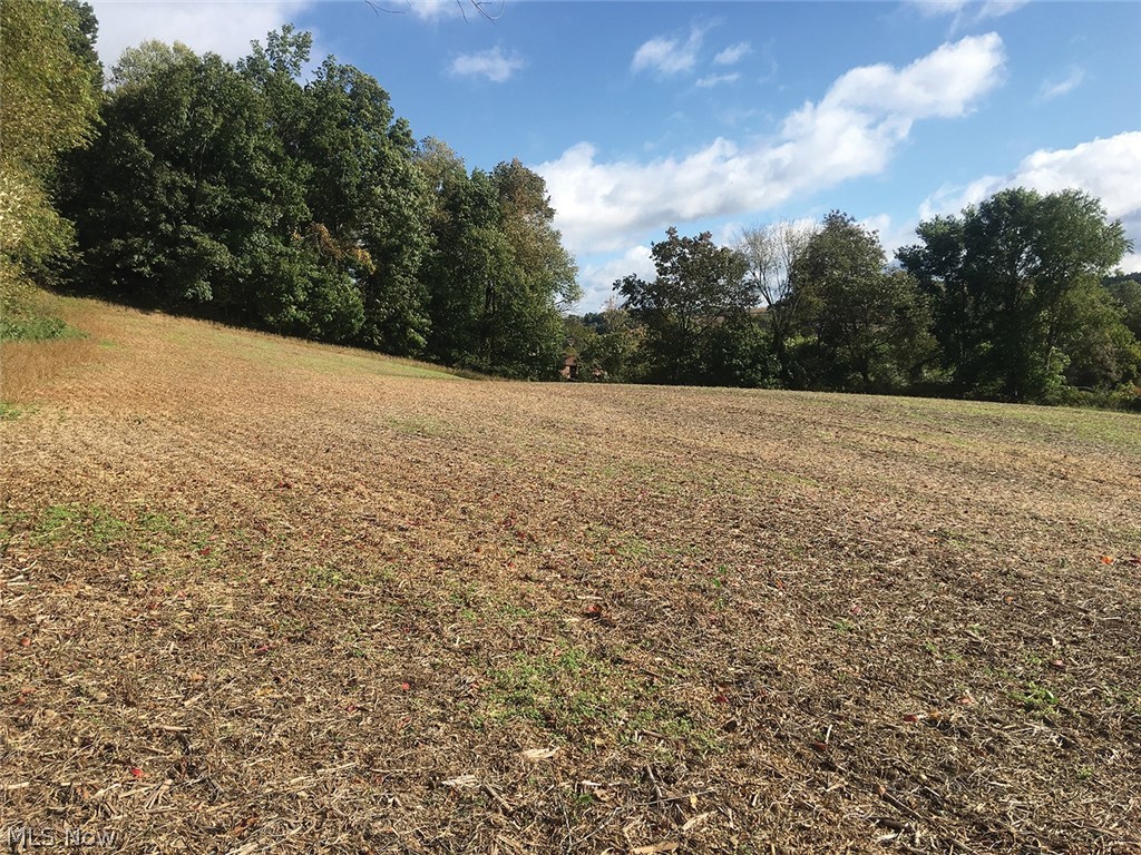 Kurtz Road Minerva, OH 44657 - Photo 2 of 3 Gallery Image 2