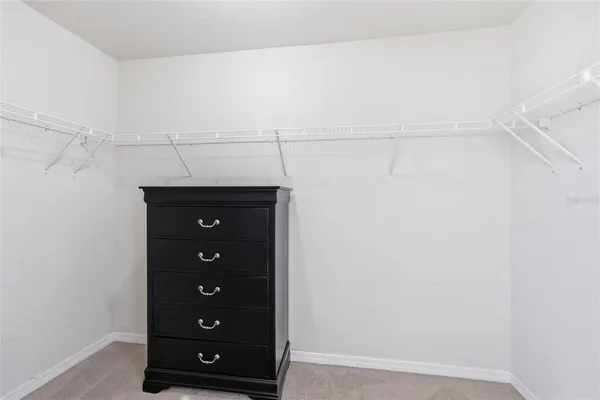 $3,000 | 19416 Roseate Drive, Lutz, FL 33558