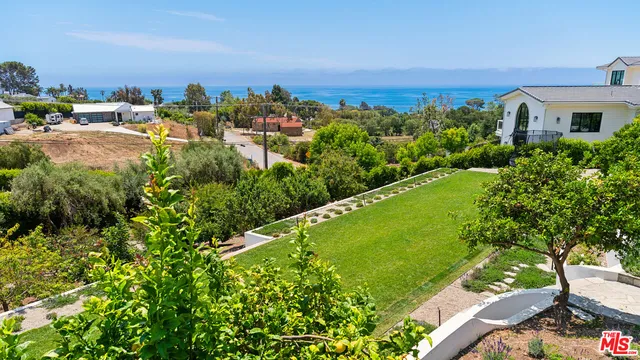a wooden bench with trees in the background