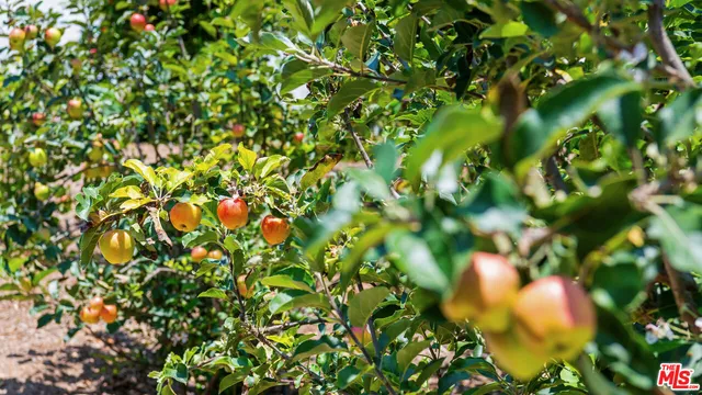 a view of a workspace with furniture and window