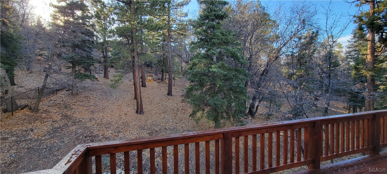 1685 Angels Camp Road Big Bear City, CA 92314 - Photo 32 of 35 a view of a forest with trees