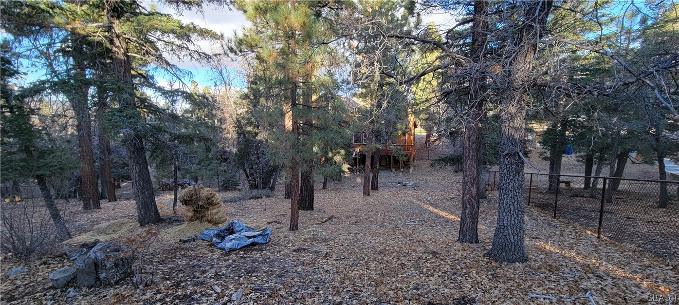 1685 Angels Camp Road Big Bear City, CA 92314 - Photo 33 of 35 a view of a forest filled with trees