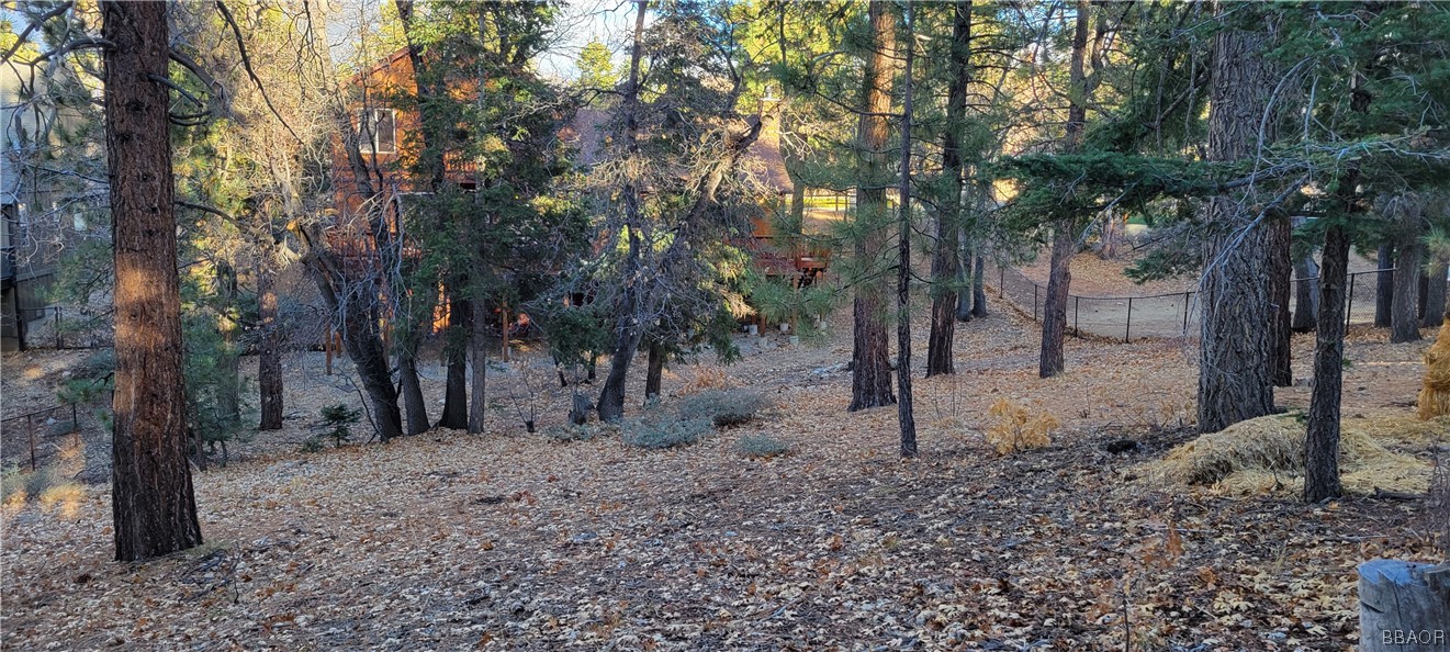 1685 Angels Camp Road Big Bear City, CA 92314 - Photo 34 of 35 a view of a forest filled with trees
