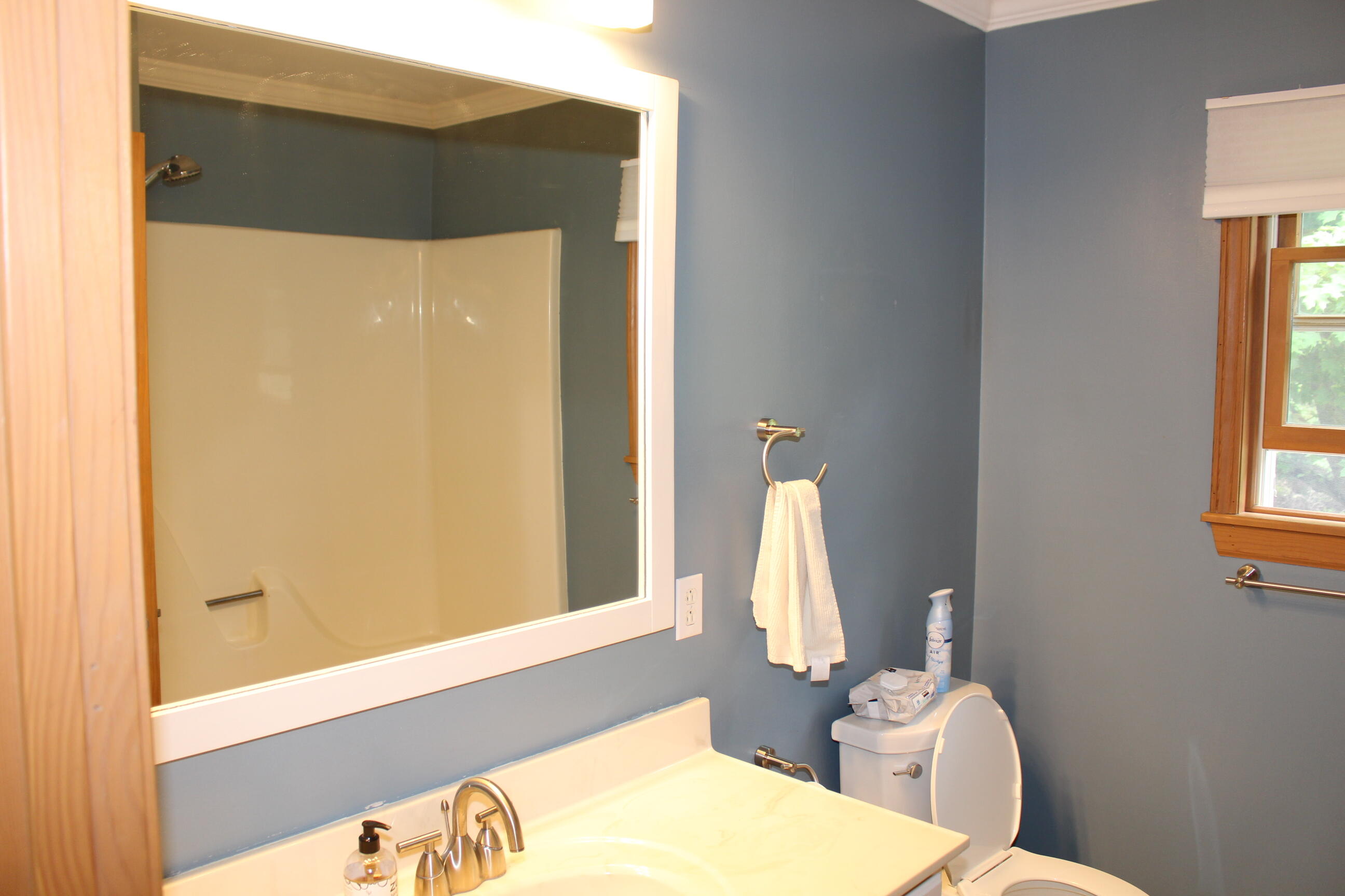 9868 Willow Road Willis, MI 48191 - Photo 54 of 146 IMG_1409