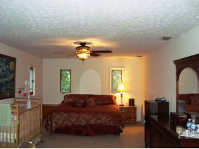 290 Boring Chapel Road Gray, TN 37615 - Photo 8 of 12 Photo 8