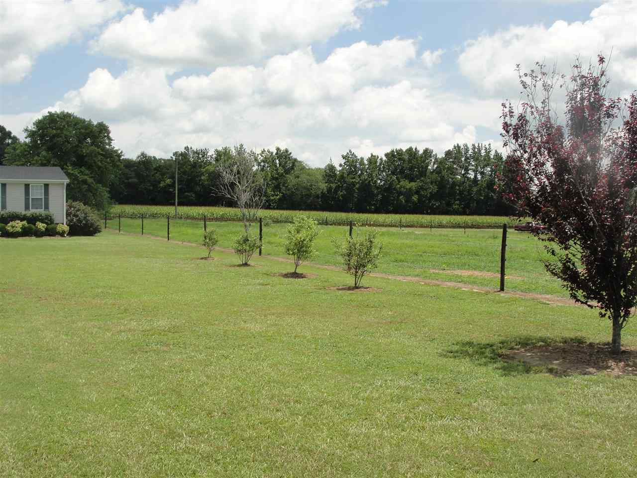 1810 Bay Valley Road Kenly, NC 27542 - Photo 4 of 24 Photo 4