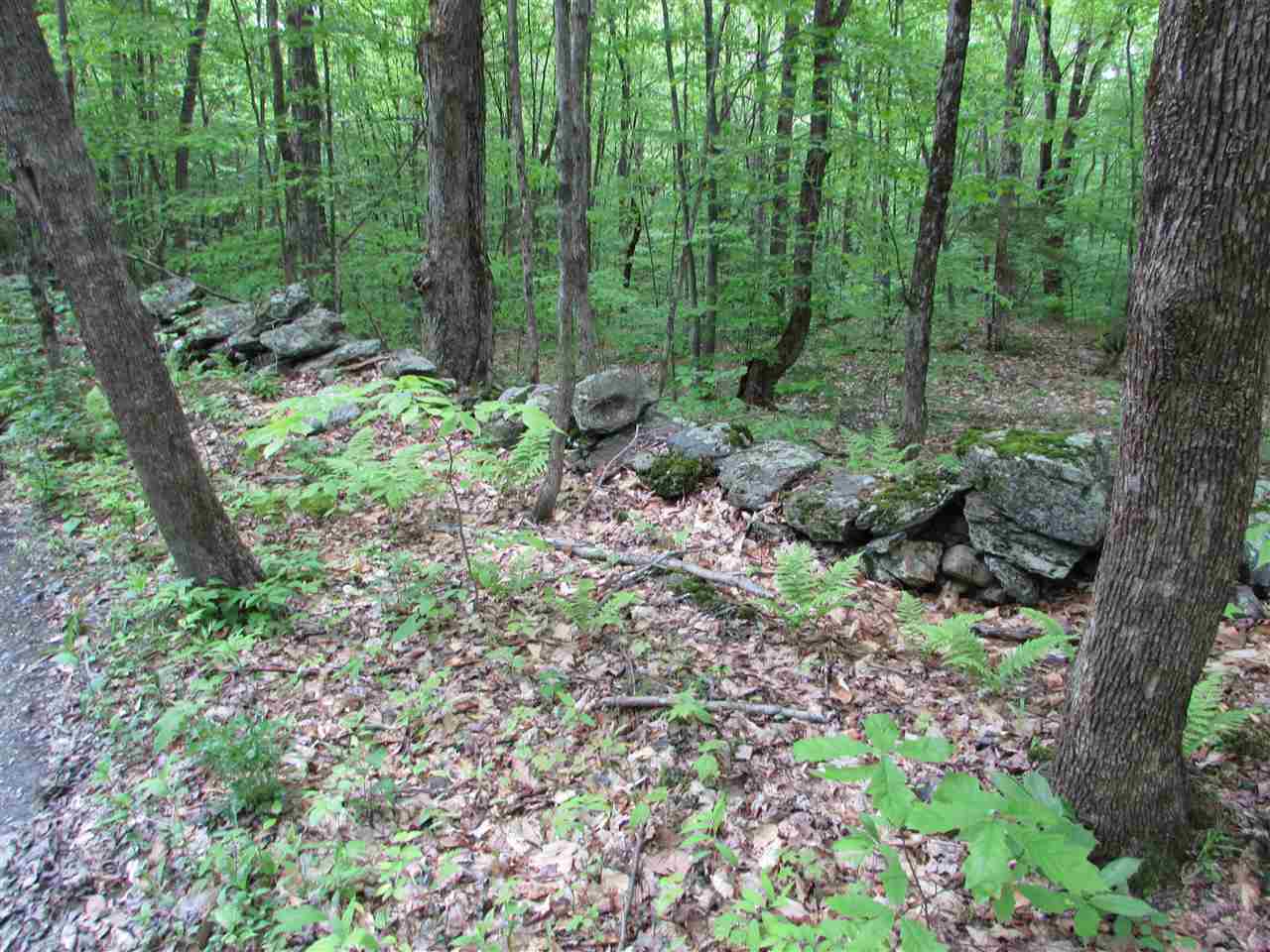 900 North Street Ira, VT 05757 - Photo 10 of 25 Gallery Image 10