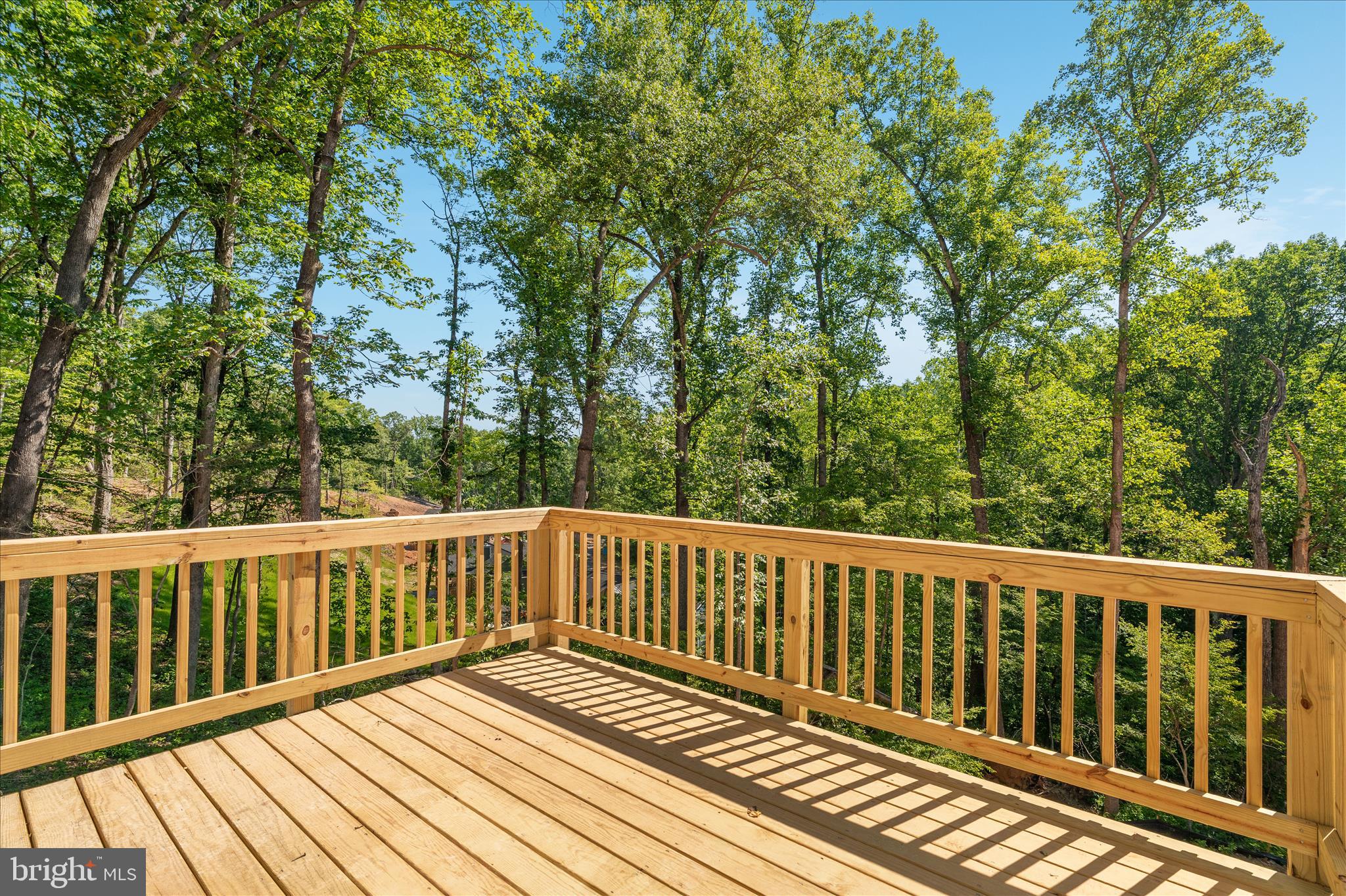 3608 Howellsville Road Front Royal, VA 22630 - Photo 63 of 66 ABS05869_3608 Howellsville Road - Absolute Altitud