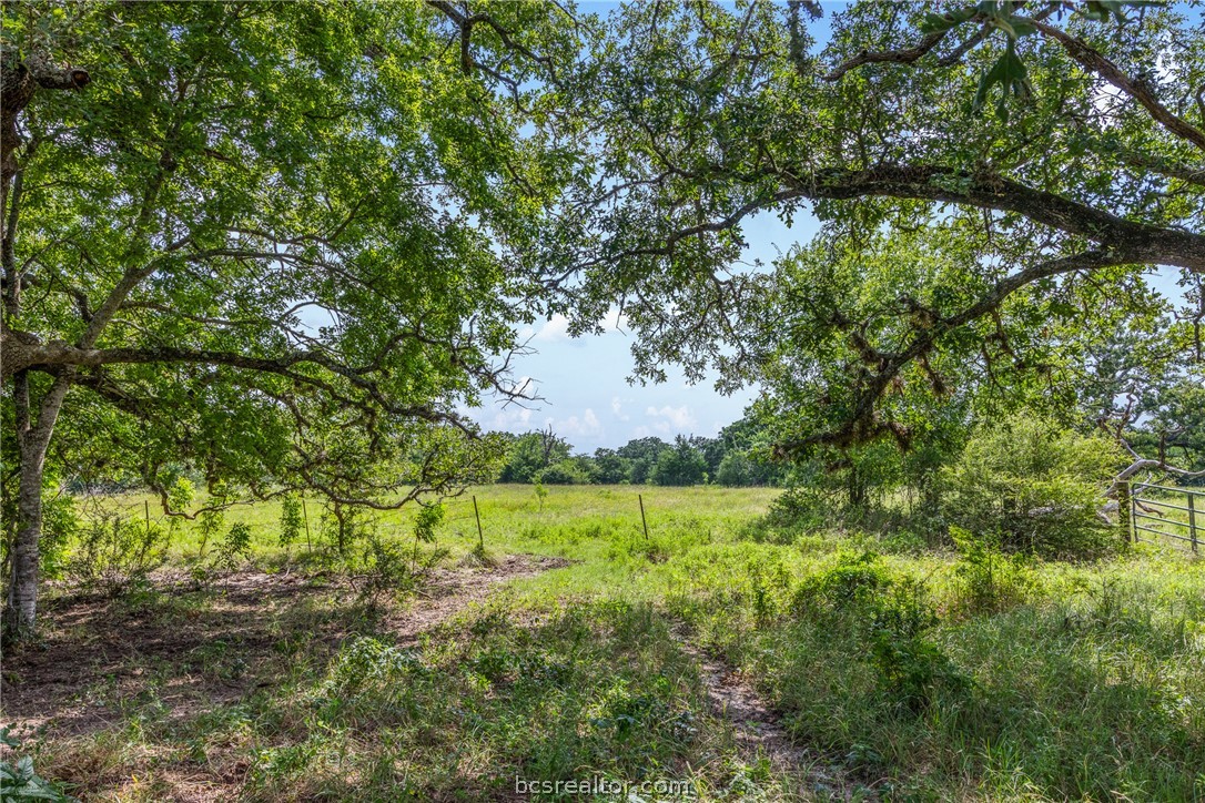 11504 North Dowling Road College Station, TX 77845 - Photo 1 of 22