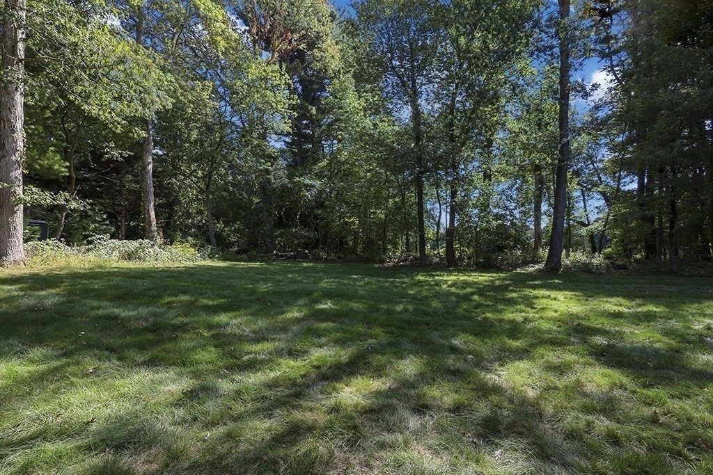 6 Lydia Lane Franklin, MA 02038 - Photo 7 of 42 a view of a park with trees in the background