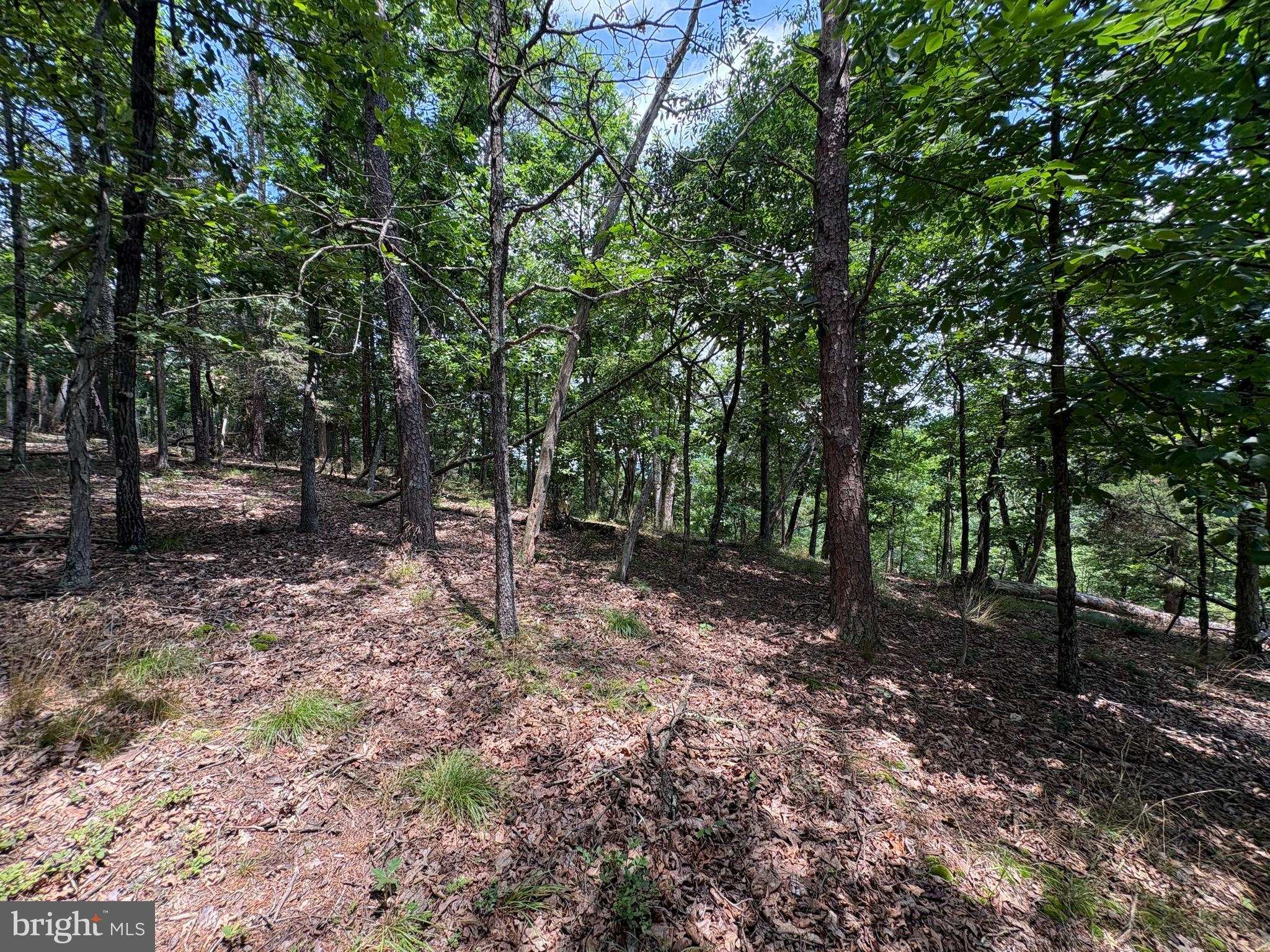 7313 Little Cacapon Road Romney, WV 26757 - Photo 15 of 18