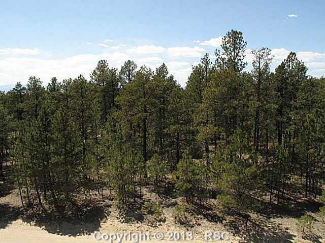 11780 Windmill Road Colorado Springs, CO 80908 - Photo 3 of 7