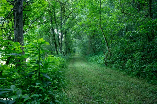 $1,350,000 | 1335 Ben Bloomer Road, Sneedville, TN 37869