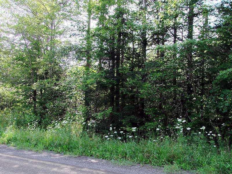 Lot 2 Clark Settlement Road Merrill, ME 04780 - Photo 11 of 15 Land.