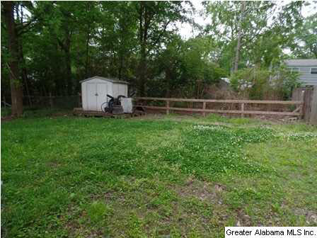 224 Alpine Street Birmingham, AL 35210 - Photo 3 of 11