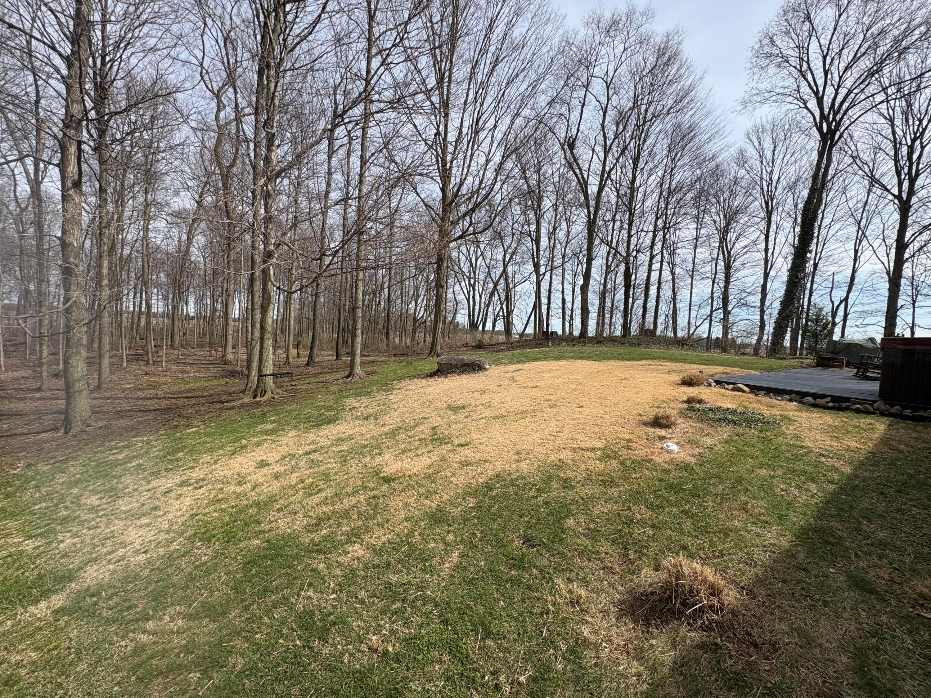 680 Newmans Cardington Road East Marion, OH 43302 - Photo 7 of 29 IMG_0171
