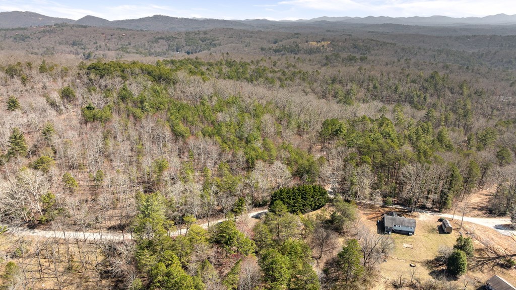 3 Old Mill Road Mineral Bluff, GA 30559 - Photo 31 of 45 Gallery Image 31