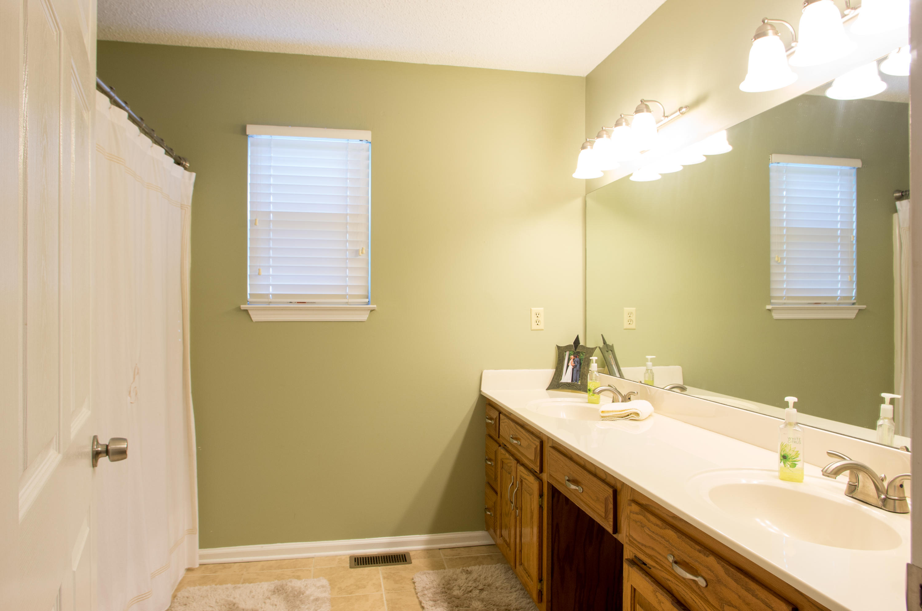 564 Hickory Ridge Trail Ringgold, GA 30736 - Photo 13 of 20 Master bath