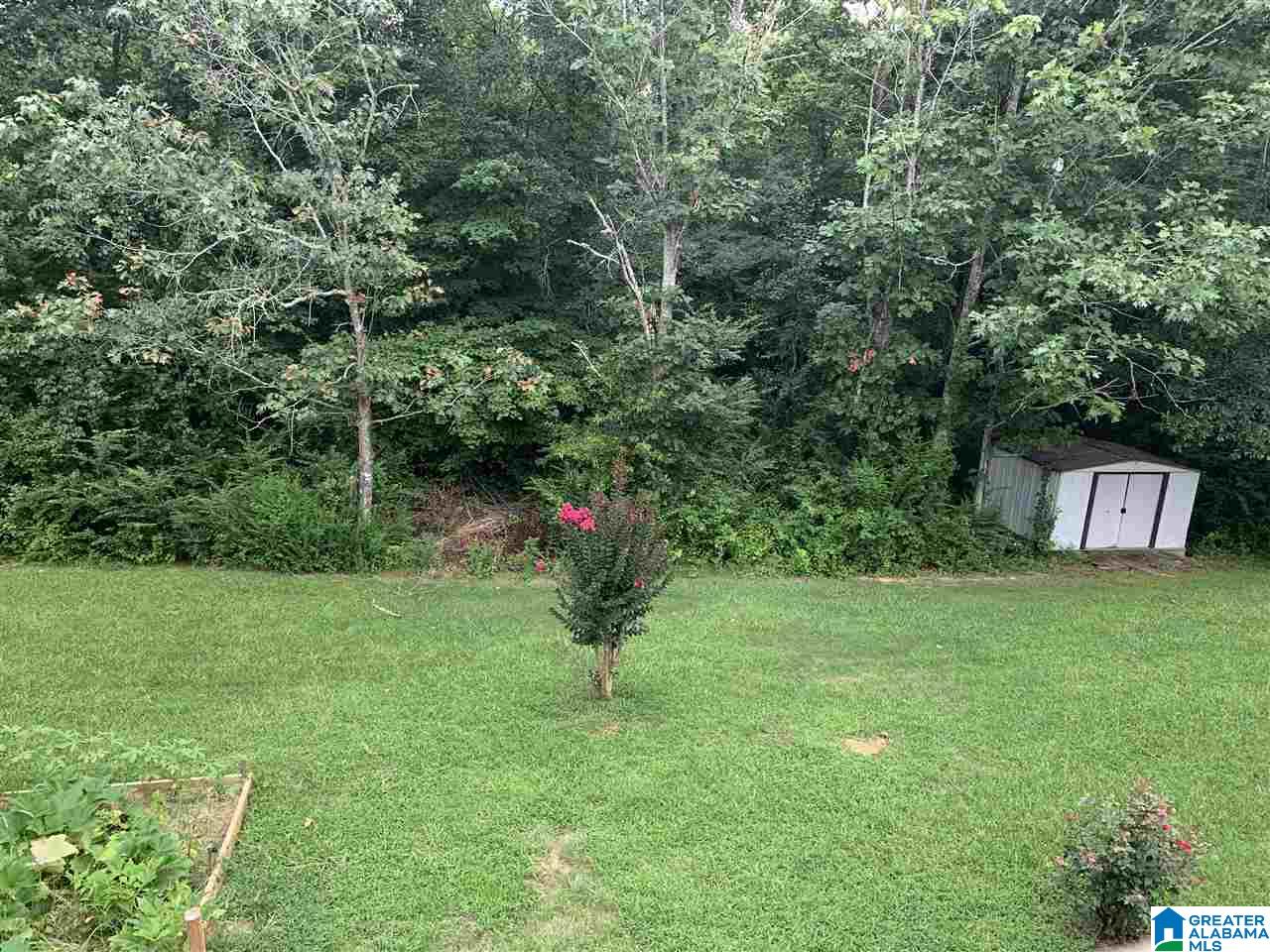 236 Elbert Gallimore Road Hayden, AL 35079 - Photo 4 of 15