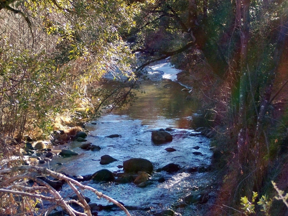 15803 Kaweah Road Oak Run, CA 96069 - Photo 20 of 38 Cow Creek near cabin