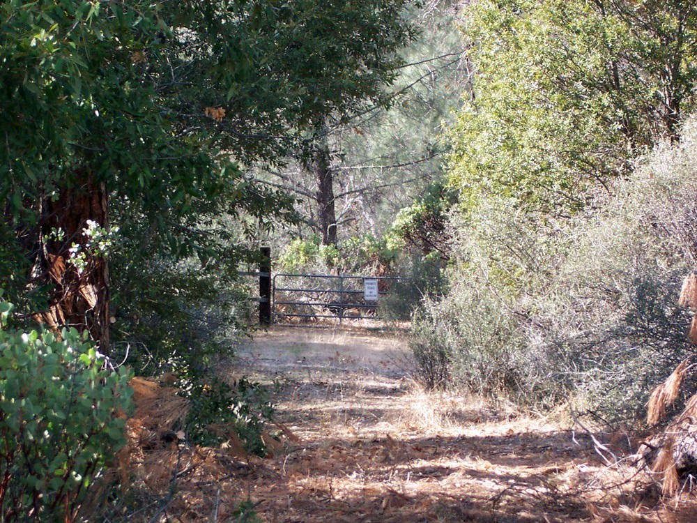 15803 Kaweah Road Oak Run, CA 96069 - Photo 30 of 38 Driveway and Locked Entry Gate