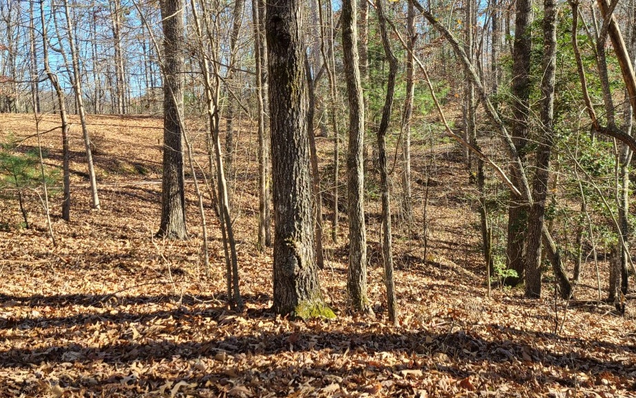 217 Boulder Crk Road Murphy, NC 28906 - Photo 2 of 4 Additional View