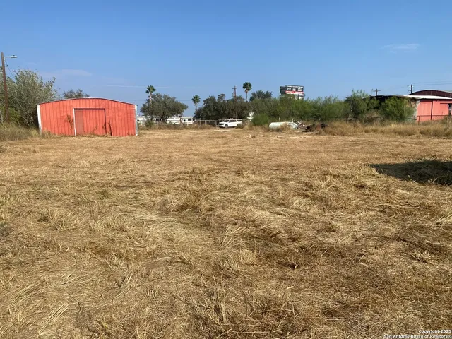 a view of a ocean with a palm trees