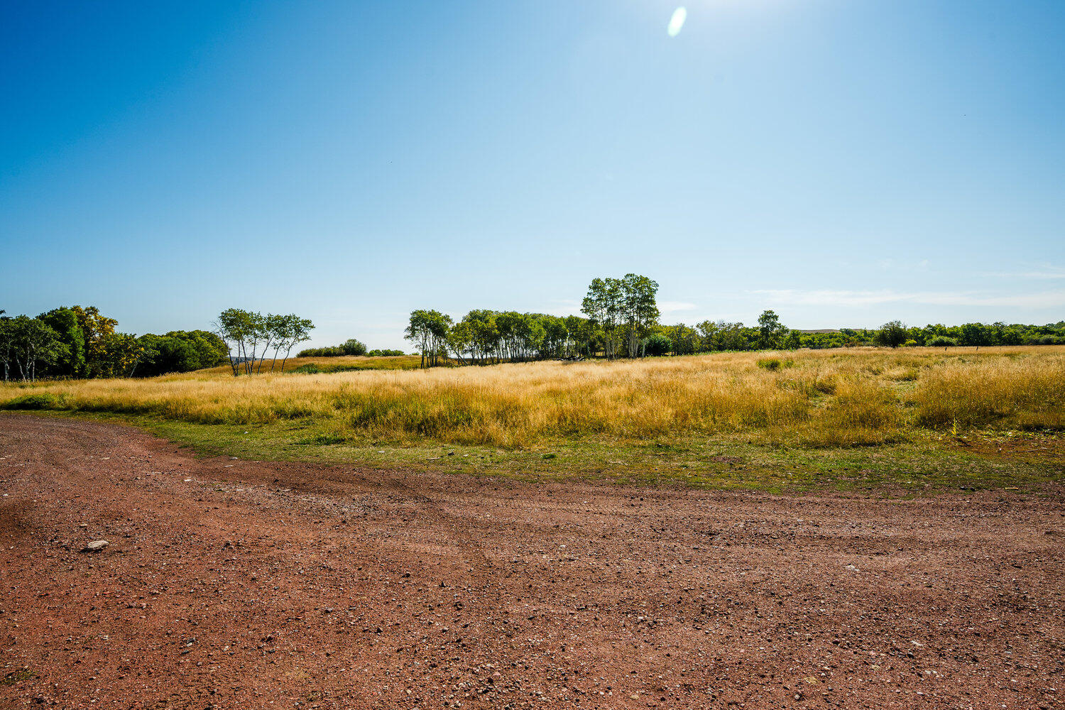 48 Wagon Box Road Story, WY 82842 - Photo 53 of 86 084_dsc_9558_649
