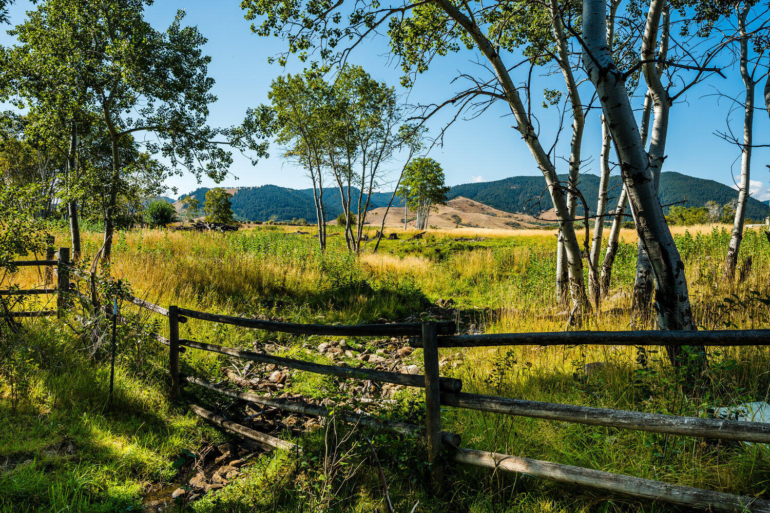 48 Wagon Box Road Story, WY 82842 - Photo 7 of 86 078_dsc_9551_79
