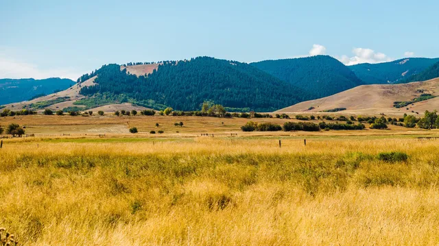 $1,400,000 | 48 Wagon Box Road, Story, WY 82842