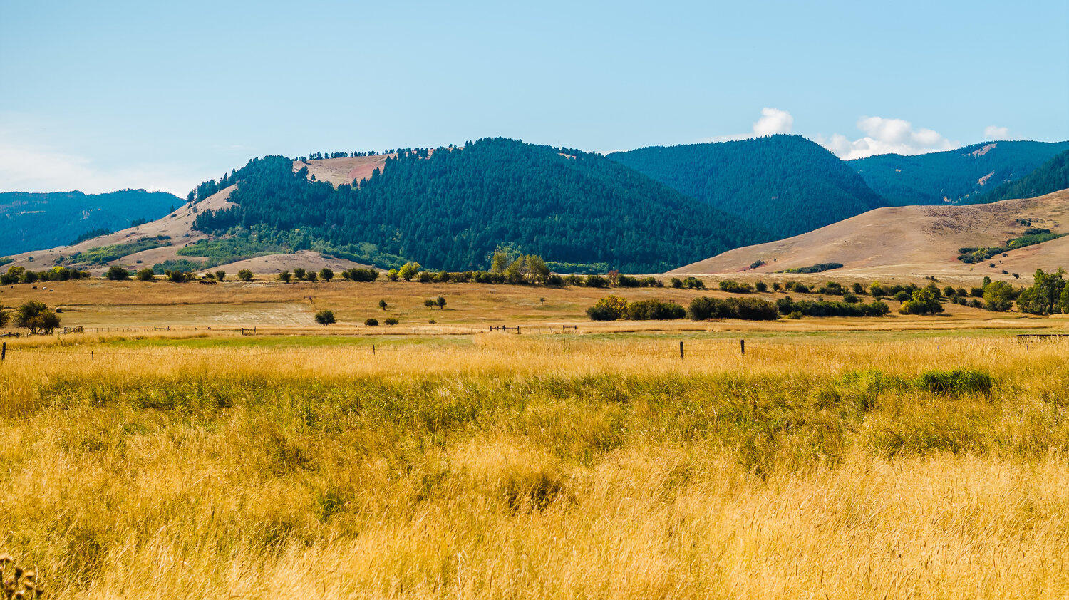 48 Wagon Box Road Story, WY 82842 - Photo 79 of 86 042_dji_20250923113236_0188_d_817