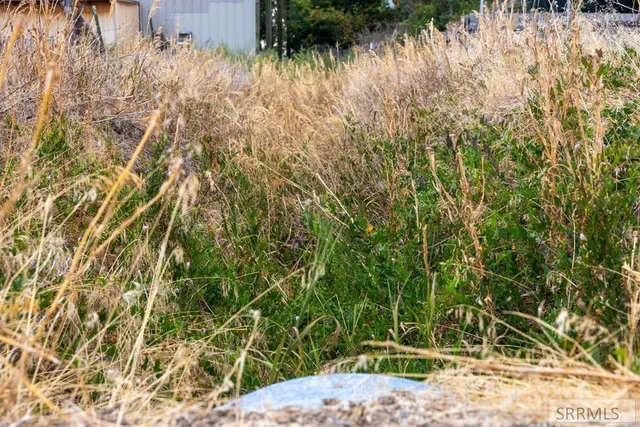 $435,000 | 571 North 3rd W Street, Rigby, ID 83442