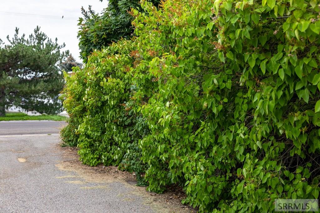 571 North 3rd W Street Rigby, ID 83442 - Photo 38 of 47