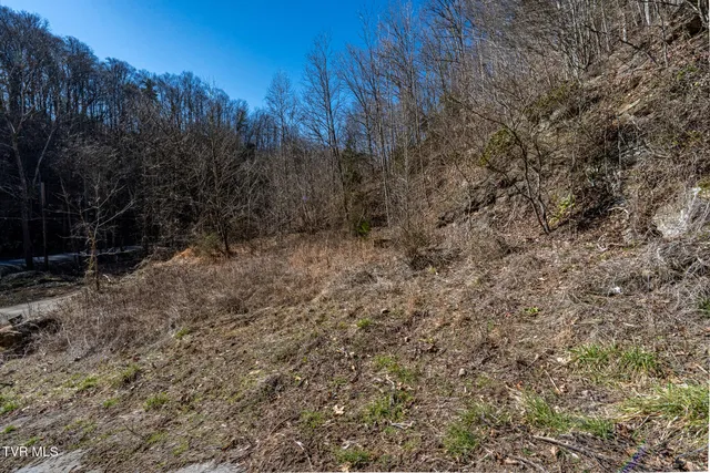 $79,000 | Tbd Old Carden Hollow Road, Bristol, TN 37620