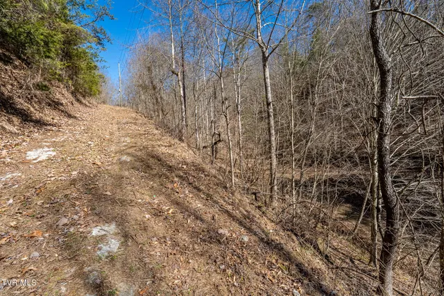 $79,000 | Tbd Old Carden Hollow Road, Bristol, TN 37620