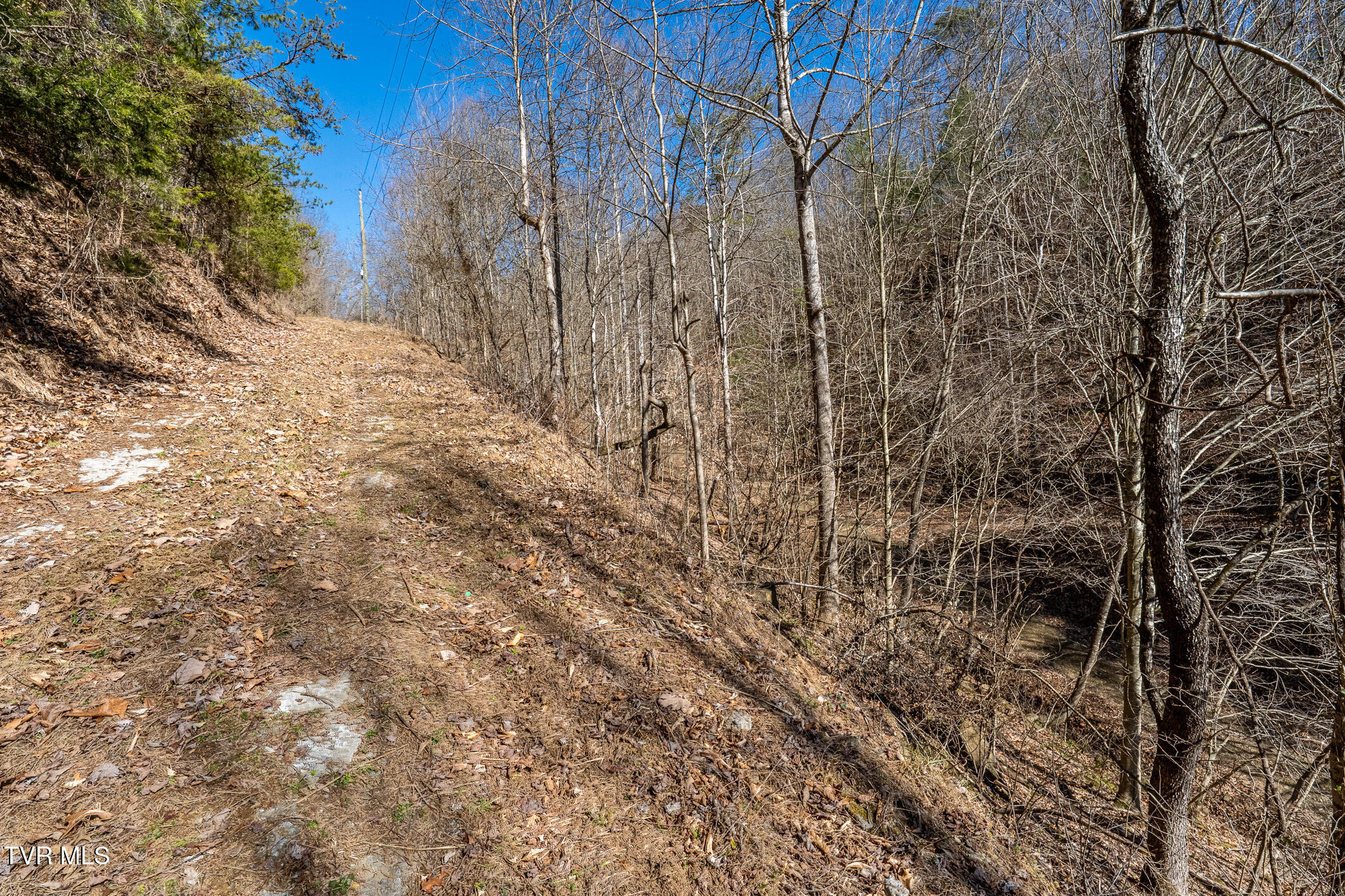 Tbd Old Carden Hollow Road Bristol, TN 37620 - Photo 18 of 29 Old Carden Hollow Rd (20 of 33)