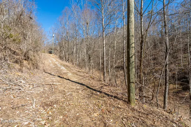 $79,000 | Tbd Old Carden Hollow Road, Bristol, TN 37620
