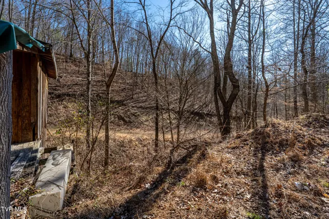 $79,000 | Tbd Old Carden Hollow Road, Bristol, TN 37620