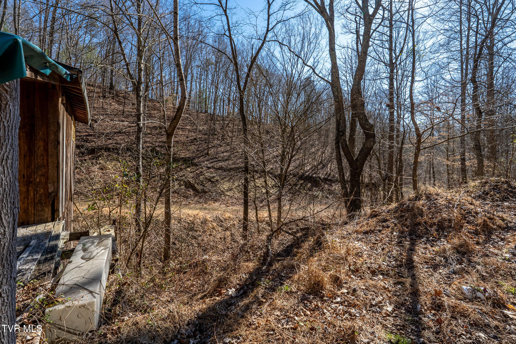 Tbd Old Carden Hollow Road Bristol, TN 37620 - Photo 25 of 29 Old Carden Hollow Rd (27 of 33)