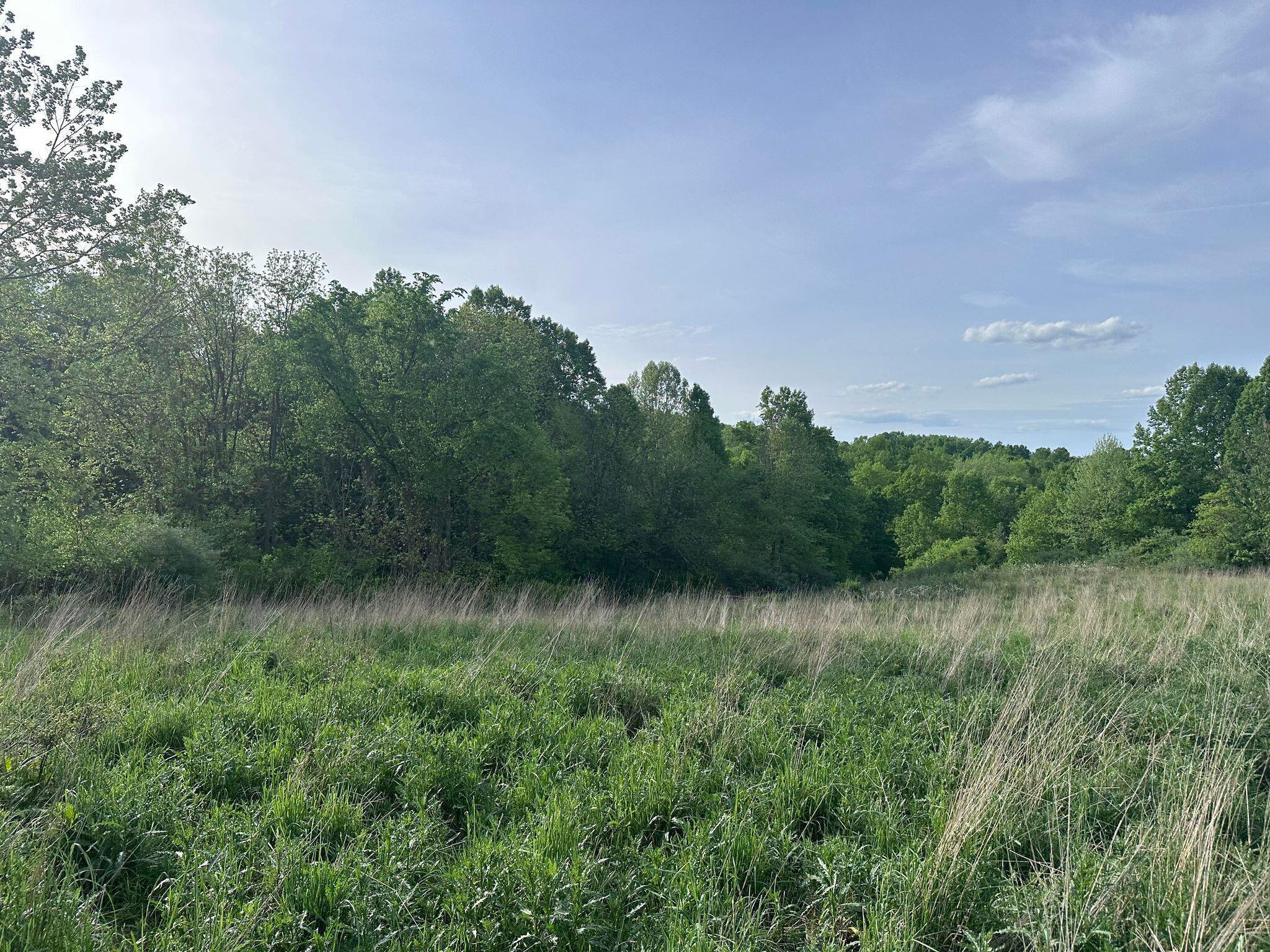 5159 Barr Road McConnelsville, OH 43756 - Photo 23 of 80 Field