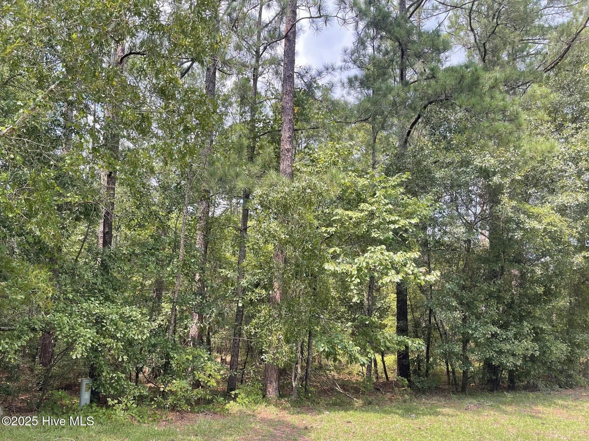 7 Country Lane Ellerbe, NC 28338 - Photo 11 of 12 Image 4