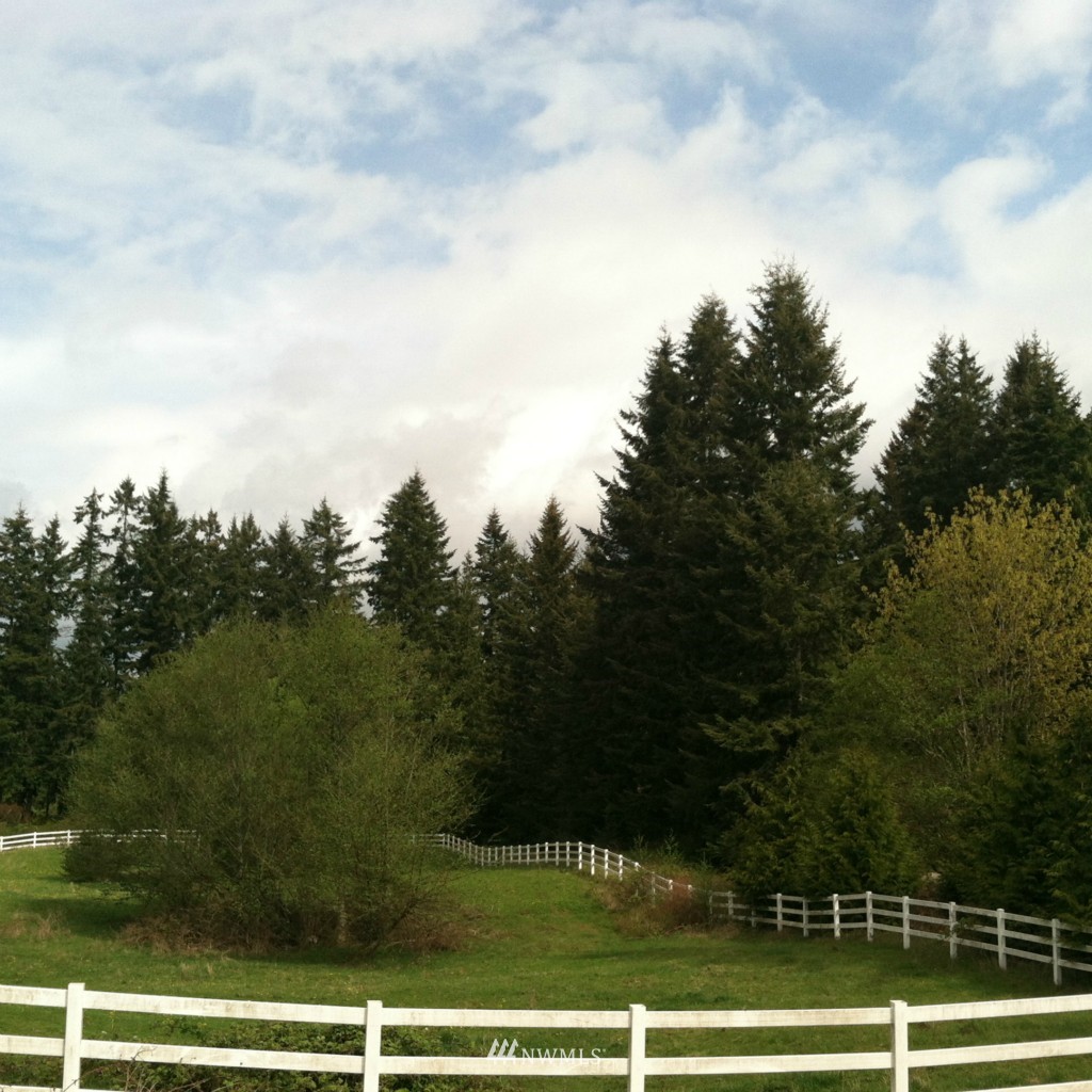 6778 Holst Road Clinton, WA 98236 - Photo 4 of 22 Gallery Image 4